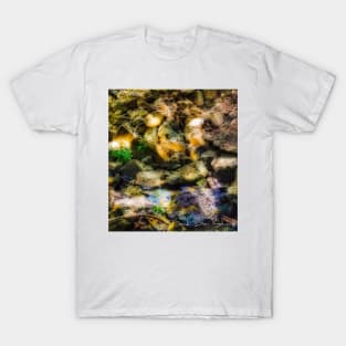 Creek Bed T-Shirt